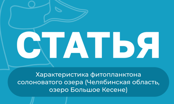 Солоноватые озёра, места обитания утки савки и других редких видов — особые экосистемы со своим уникальным биоразнообразием.